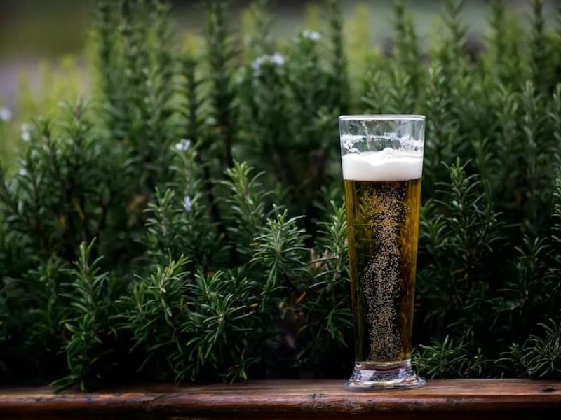 Tumbleroot Brewery and Distillery