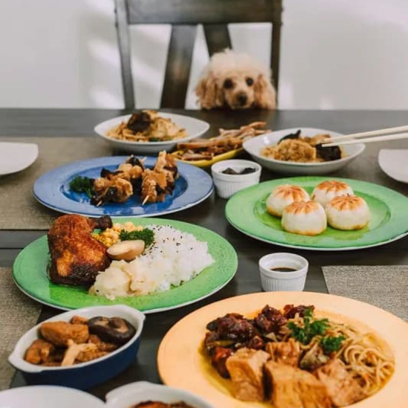 Pet Friendly Restaurant