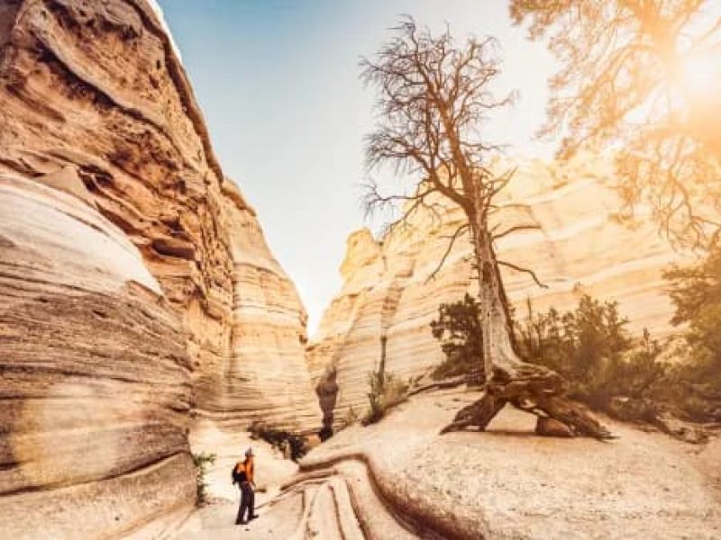 Santa Fe’s Hidden Gems: Unique Spots Only Locals Know