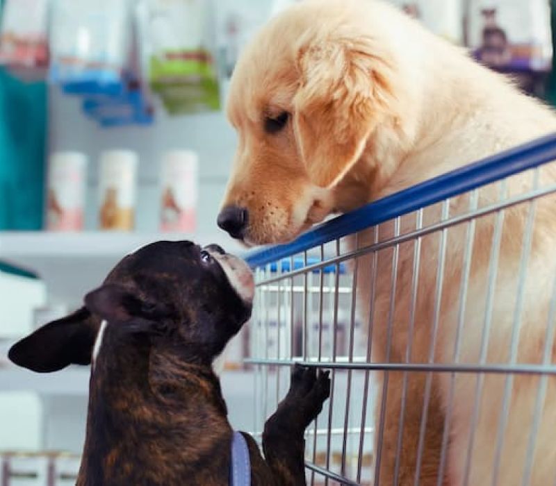 DeVargas Shopping Center