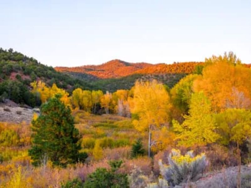 Top Places to View the Fall Foliage in Santa Fe