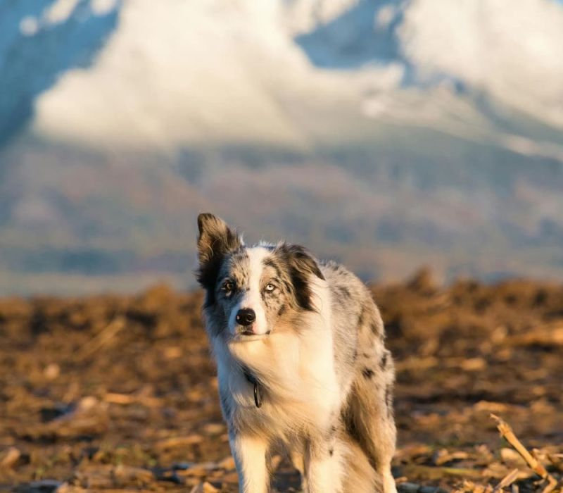 Atalaya Mountain Trail