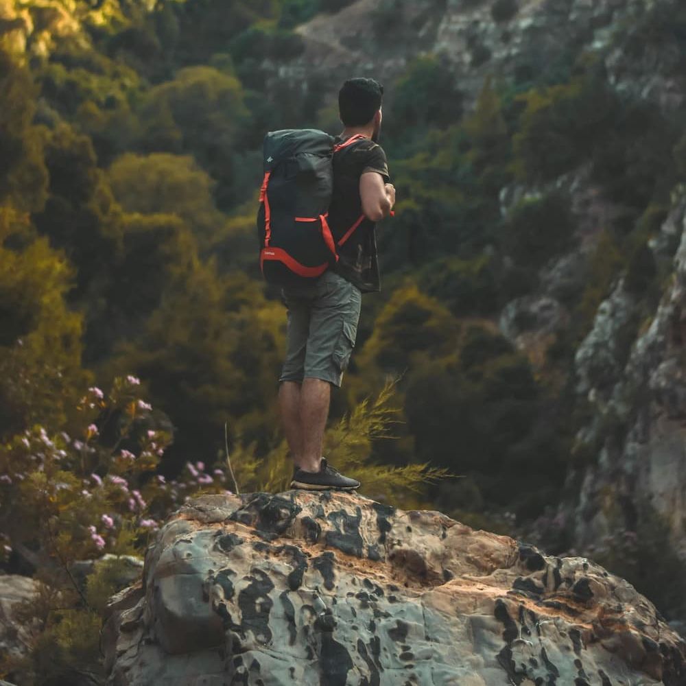 Hiking & Exploring the Dale Ball Trails