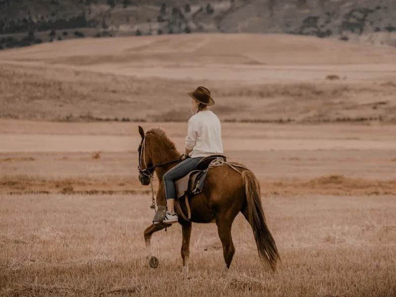 santa fe western adventures