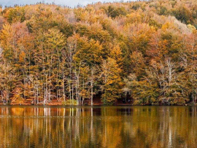 5 Fun Filled Activities in Santa Fe In The Fall | Two Casitas