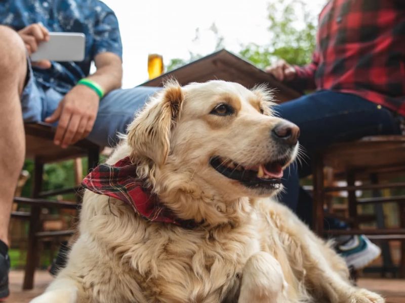 Second Street Brewery