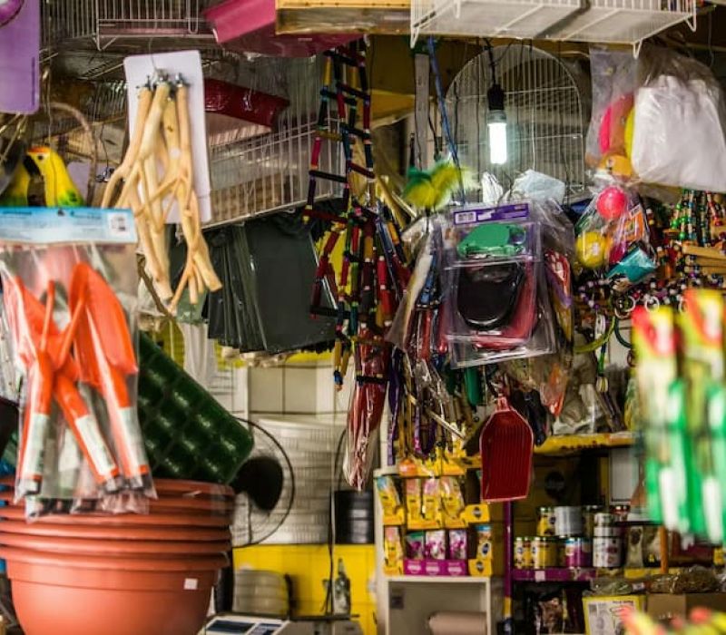 Teca Tu A Pawsworthy Pet Emporium