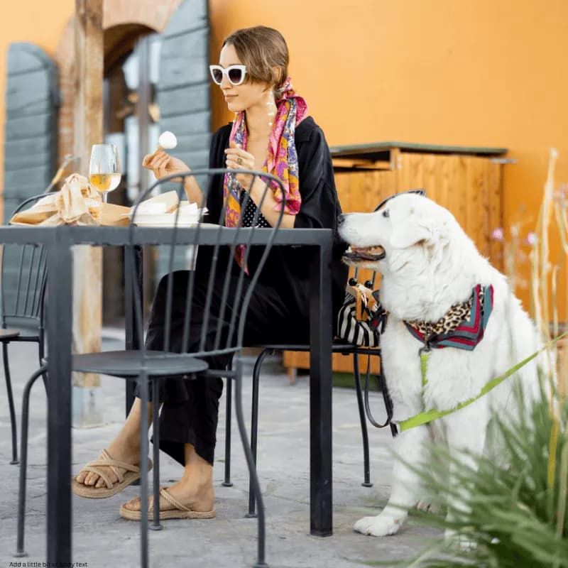 Pet Friendly Restaurants