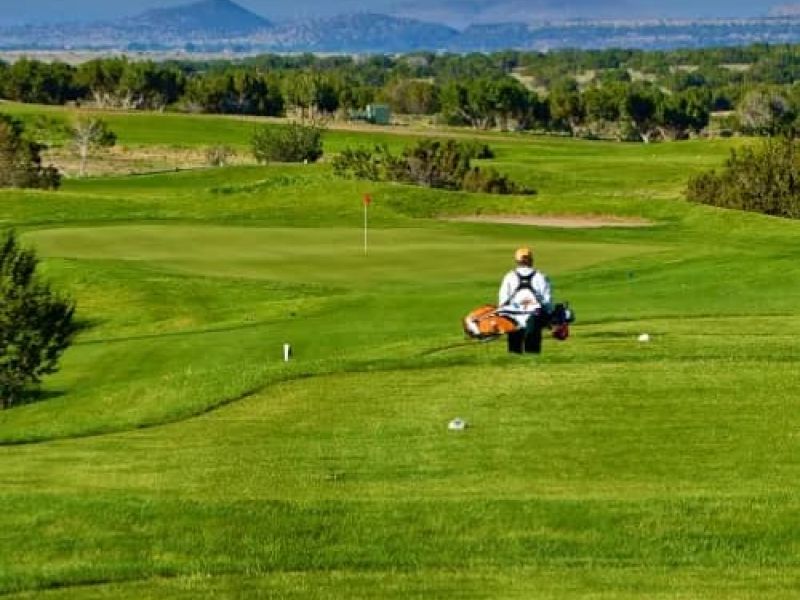 Marty sanchez links de santa fe