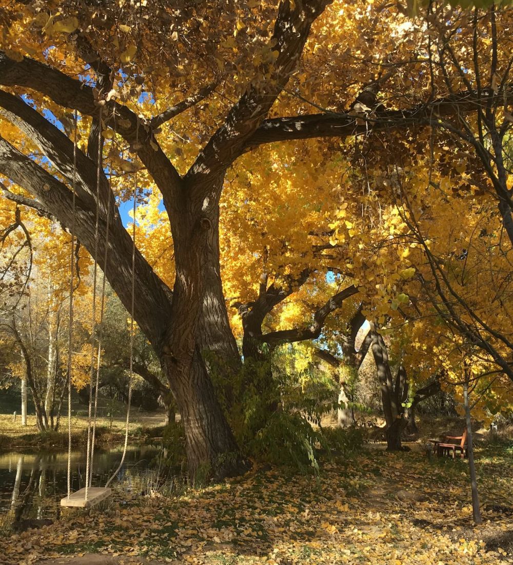 Santa Fe Fall Weather