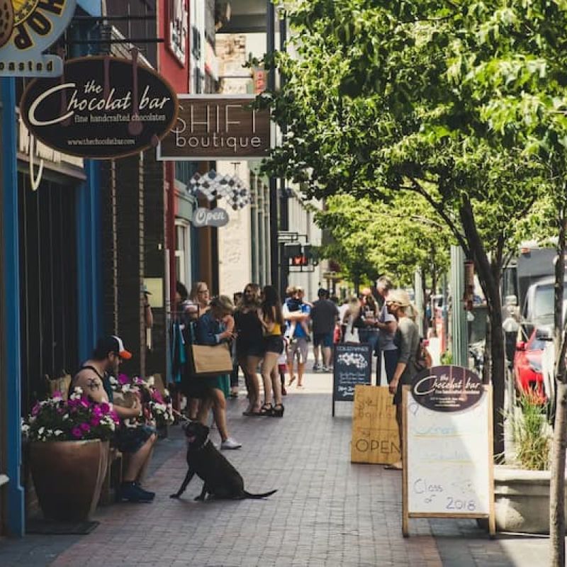 Pet Friendly Shopping