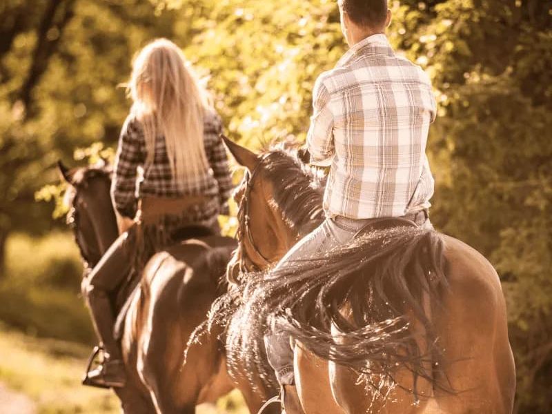 Broken Saddle Riding Company