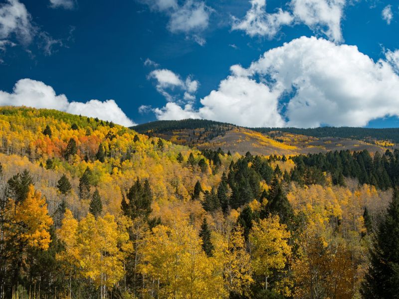 Santa Fe in October: Why Fall Is the Best Time to Visit