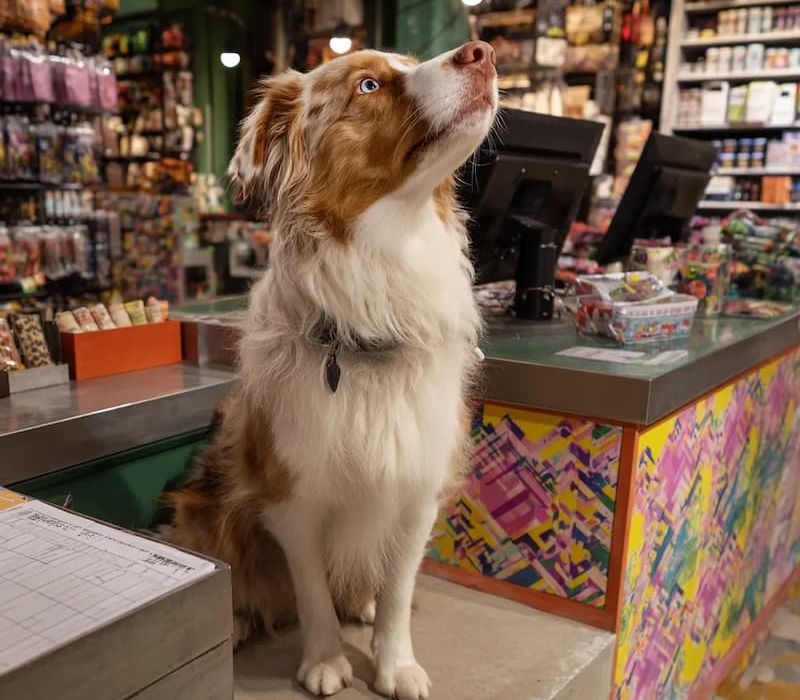 Shops Along Canyon Road