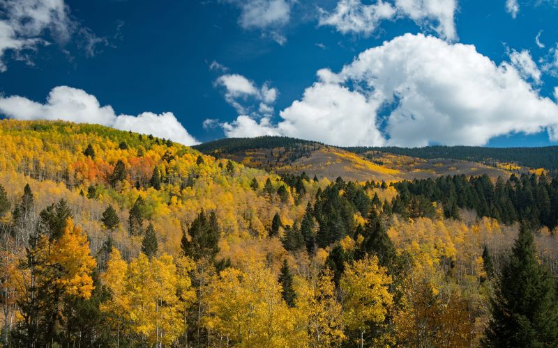 Santa Fe in October: Why Fall Is the Best Time to Visit