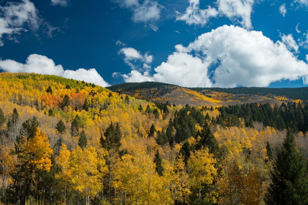 colorful landscapes creating the perfect atmosphere for exploration in Santa Fe in October.